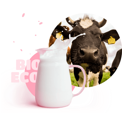 Cow  and milk